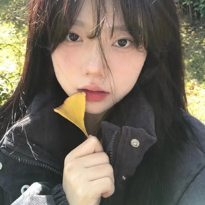 冬之光